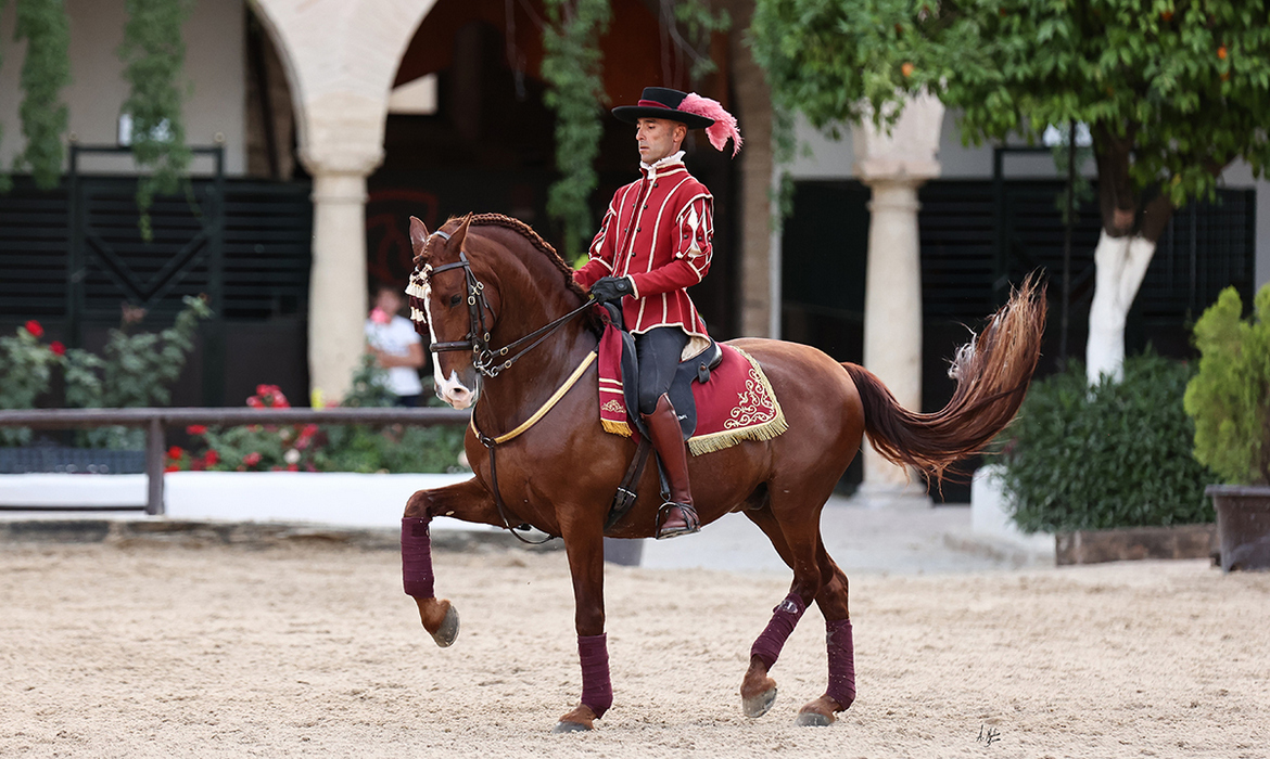 The Purebred Spanish Horse (Cordoba - Spain)